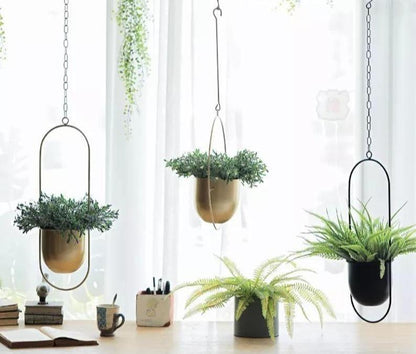 HaloRing Hangplantenhouder – Metalen hangende plantenbak voor binnen en buiten