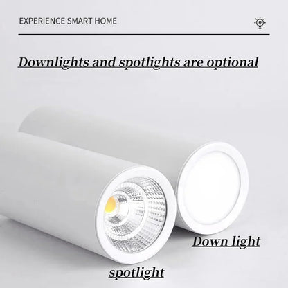 Cilindervormige LED Opbouwspot - Dimbaar Aluminium Design