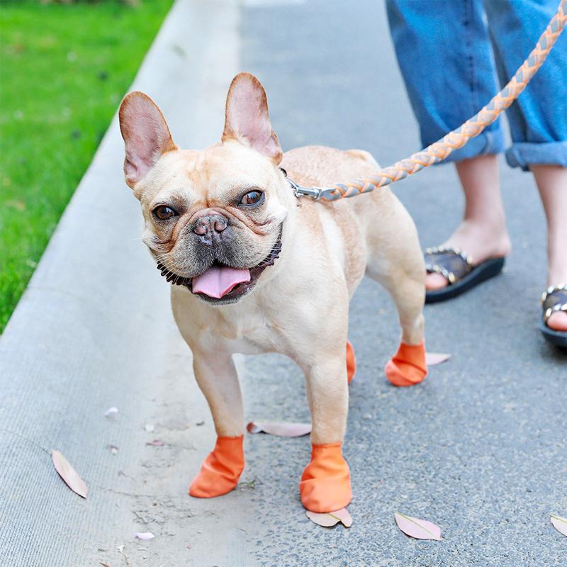 PootShield Waterdichte Hondschoenen met grip en beschermend comfort