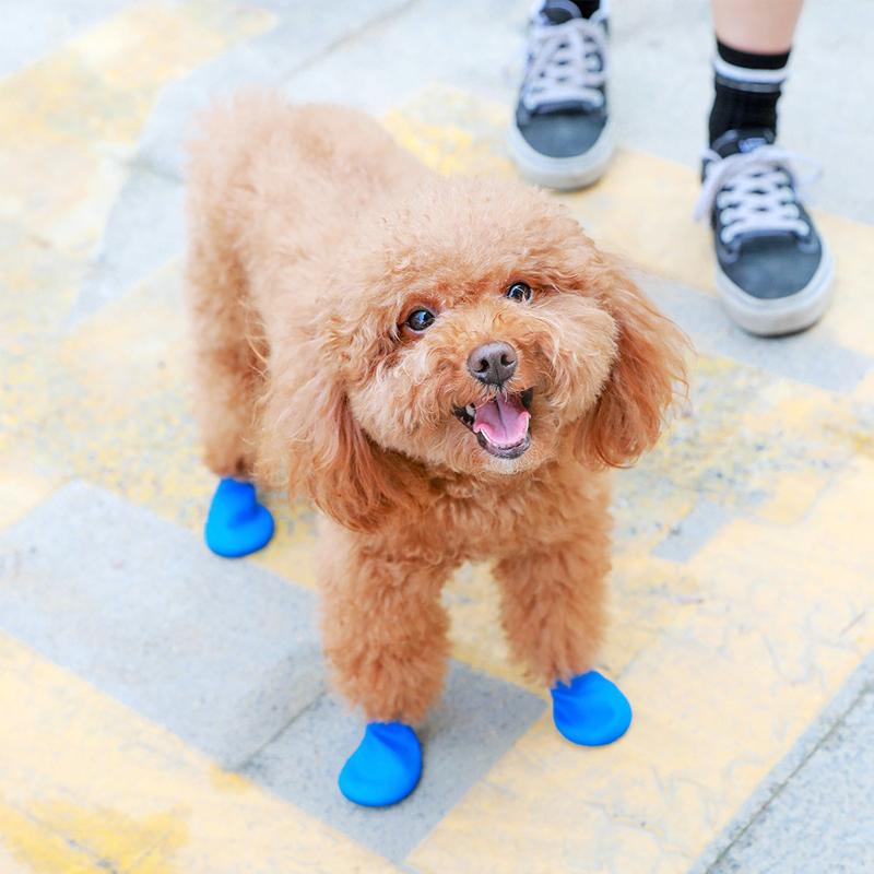 PootShield Waterdichte Hondschoenen met grip en beschermend comfort