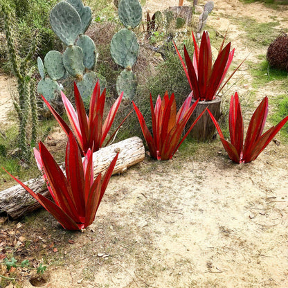 TerraVorm Metalen Agave Tuinbeeld voor Binnen en Buiten