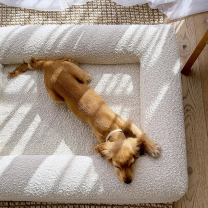 Orthopedisch Hondenkussen met Bouclé Hoes – Memory Foam en Wasbaar