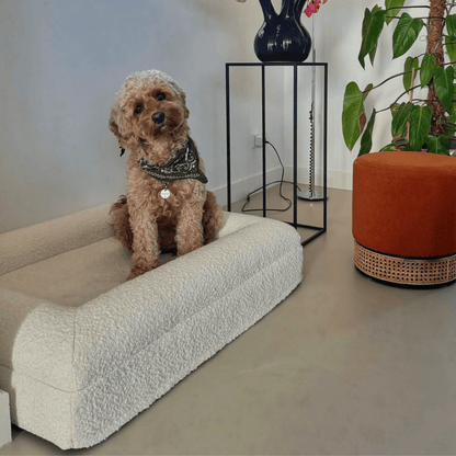 Orthopedisch Hondenkussen met Bouclé Hoes – Memory Foam en Wasbaar