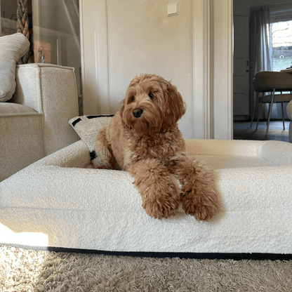 Orthopedisch Hondenkussen met Bouclé Hoes – Memory Foam en Wasbaar