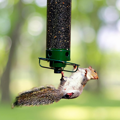 Draaibare Eekhoornvrije Tuinvogelfeeder met Meerdere Voerpoorten