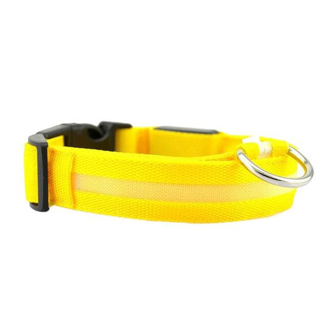 GlowPets LED Halsband – Veiligheid & Zichtbaarheid voor Huisdieren