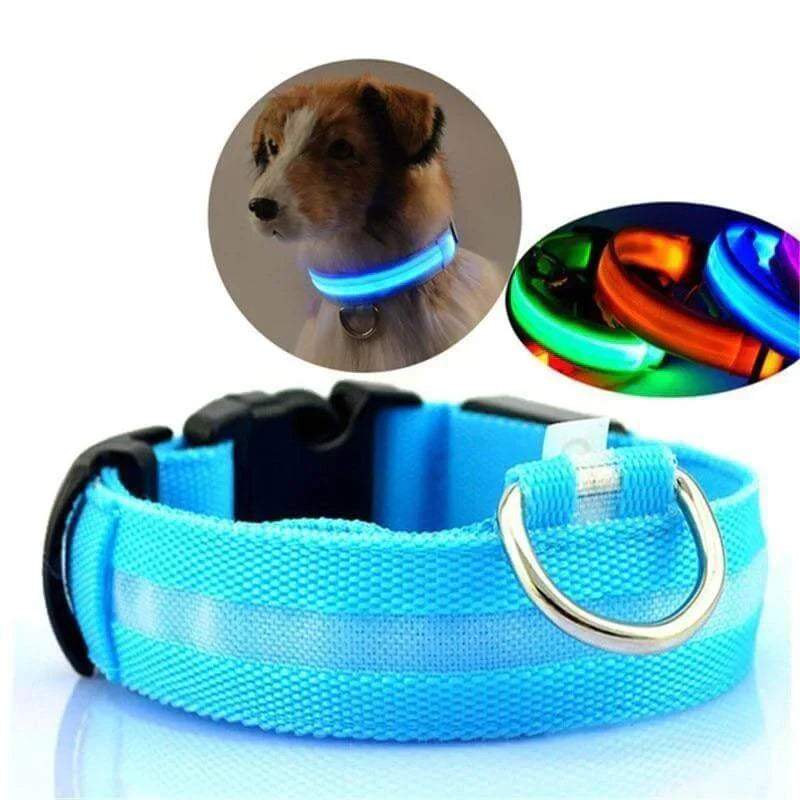 GlowPets LED Halsband – Veiligheid & Zichtbaarheid voor Huisdieren