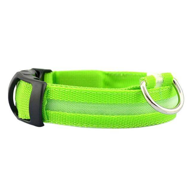 GlowPets LED Halsband – Veiligheid & Zichtbaarheid voor Huisdieren