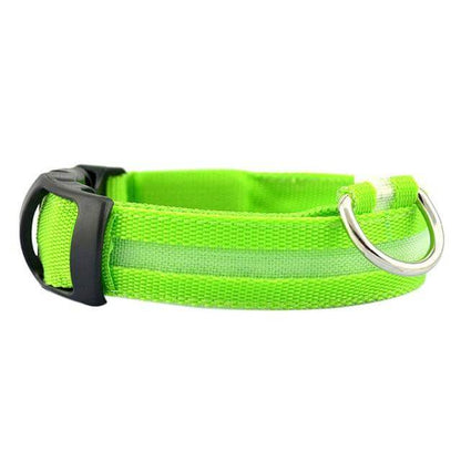 GlowPets LED Halsband – Veiligheid & Zichtbaarheid voor Huisdieren