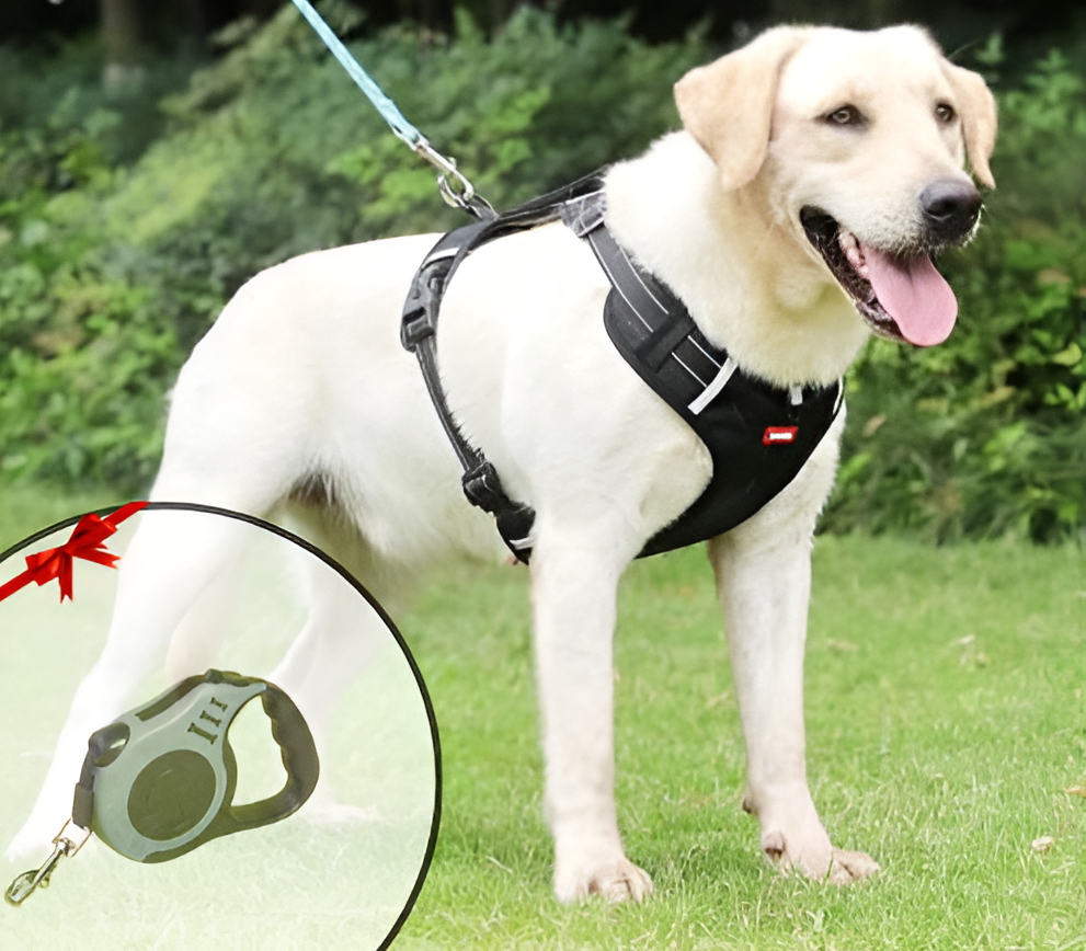 DogsControl  Anti-Trek Hondentuig – Verstelbaar & Ademend Veiligheidstuig met Reflectie