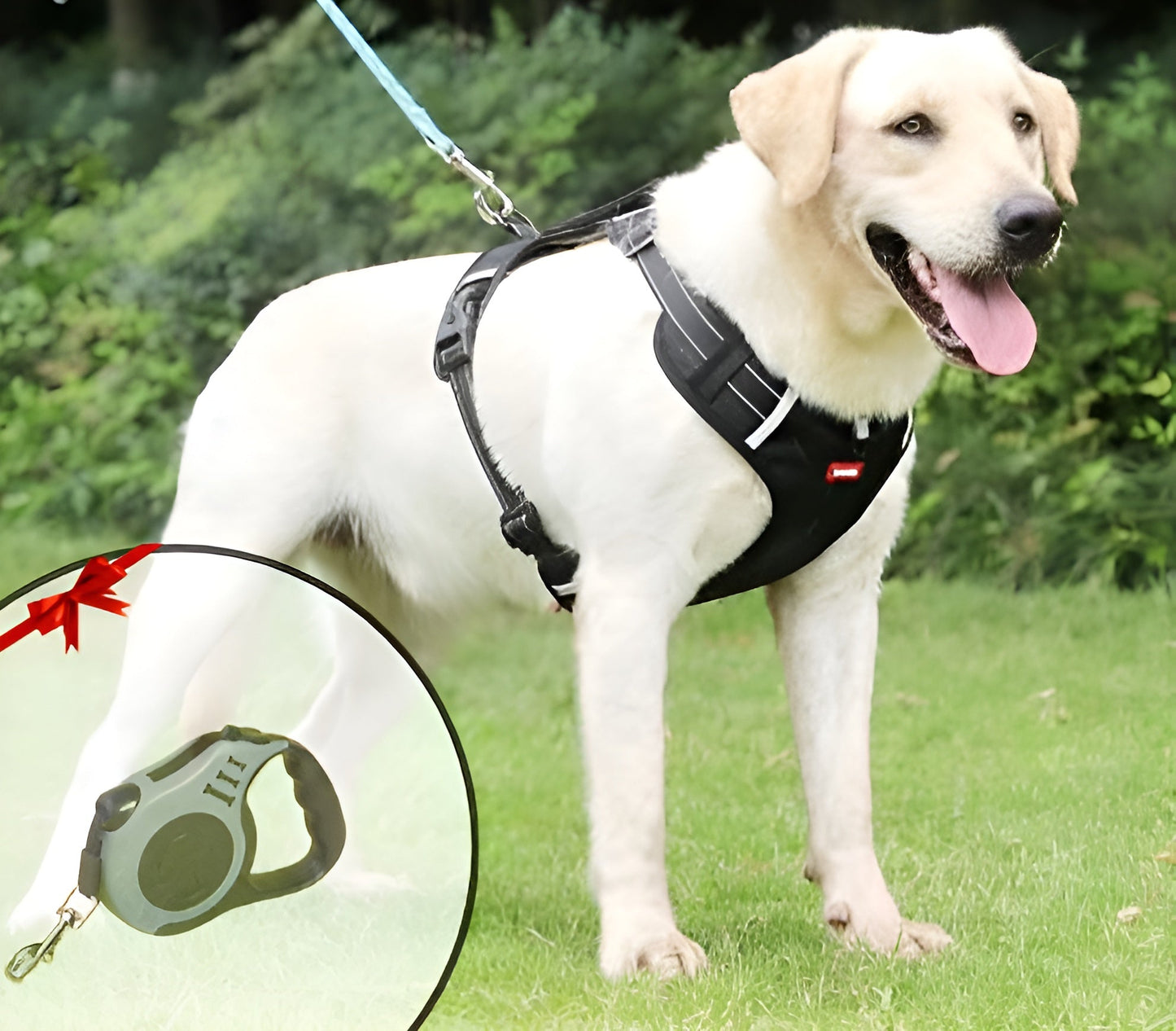 DogsControl  Anti-Trek Hondentuig – Verstelbaar & Ademend Veiligheidstuig met Reflectie