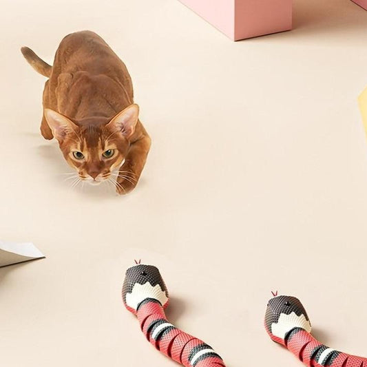 SpeelSnake Interactieve Elektrische Slang voor Katten