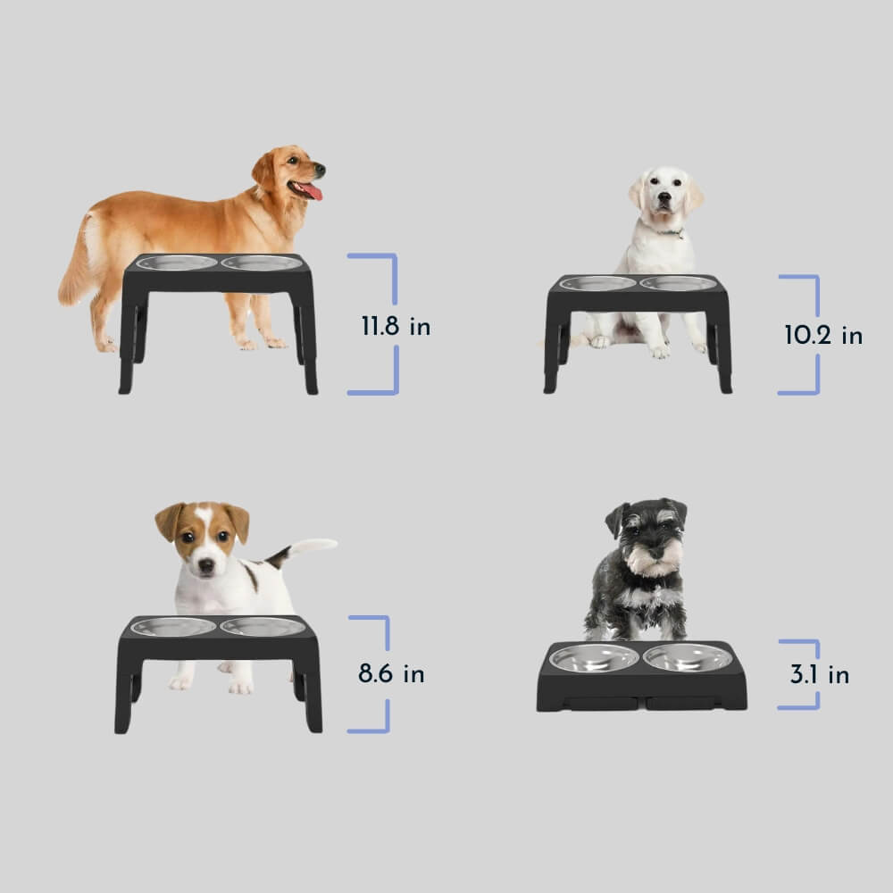 PupLift Verhoogde Hondenkom – Ergonomisch & Langzaam Voeren voor Gezonde Maaltijden