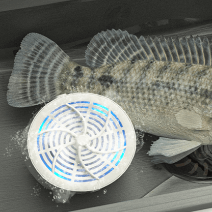 AquaPure elektrische voedselreiniger voor groente en fruit