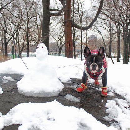 Warme Sneeuwlaarsjes voor Honden - Bescherming tegen Kou en Nattigheid
