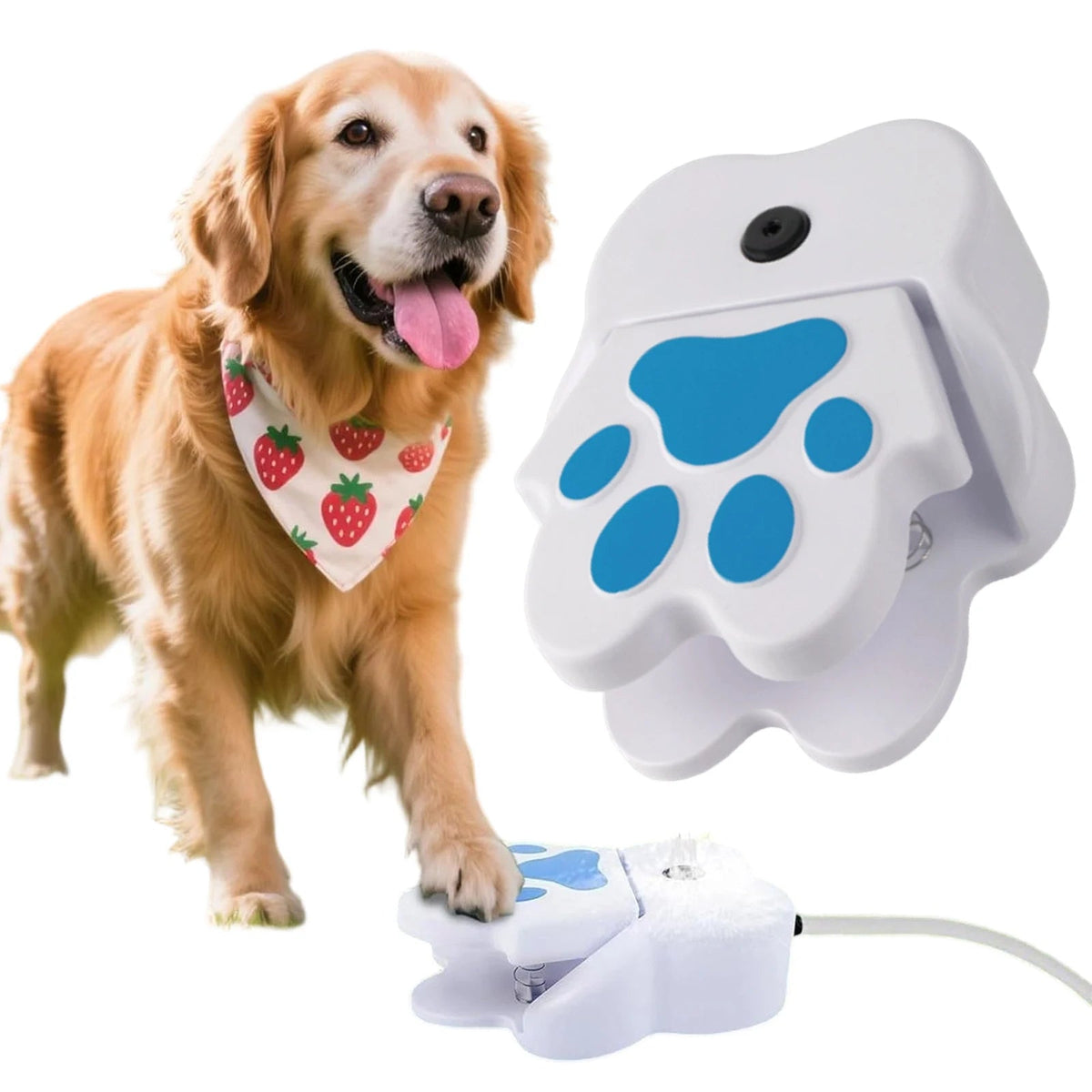 Interactieve Pootactivatie Waterfontein voor Honden